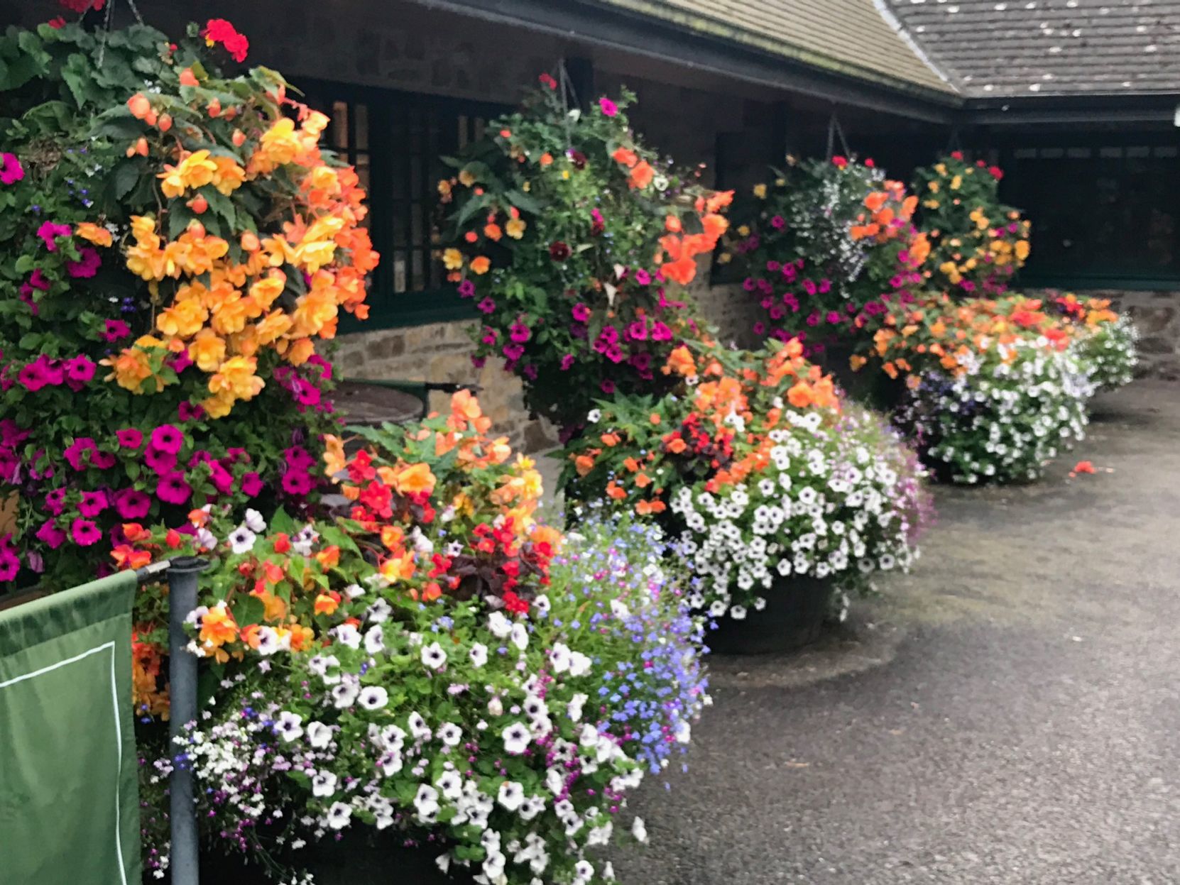 Flowers at the Blarney Castle gift shop